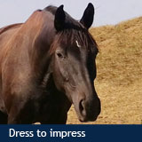 Dress to impress