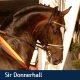 Sir Donnerhall