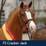 FS Cracker Jack