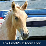 Fox Creek's J'Adore Dior