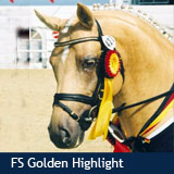 FS Golden Highlight