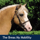 The Breas My Mobility